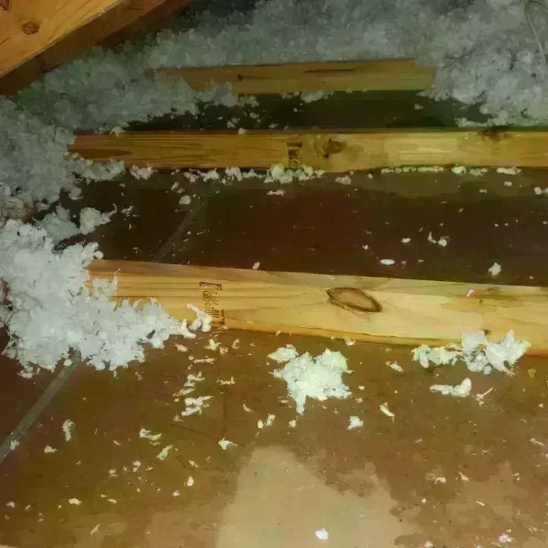 Attic Water Damage in Emory, VA